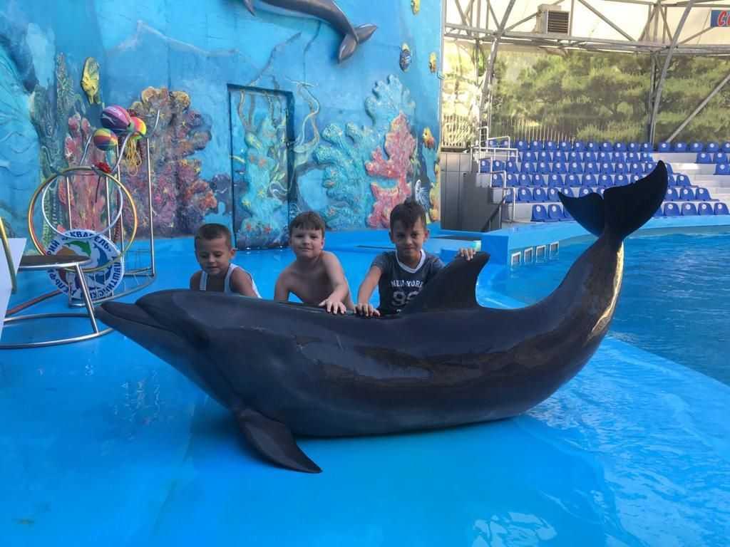 Семейный отдых в дельфинарии в Крыму