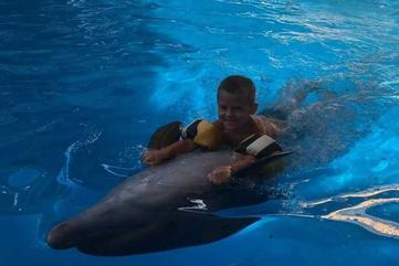 Дельфинотерапия на отдыхе с детьми в Крыму