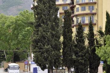 Корпус апартаментов Дельфин в Партените, Крым