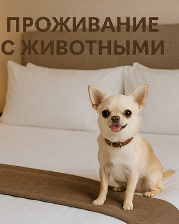 Проживание с животными