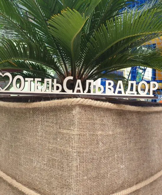 Пальма на входе в отель на Южном берегу Крыма Сальвадор